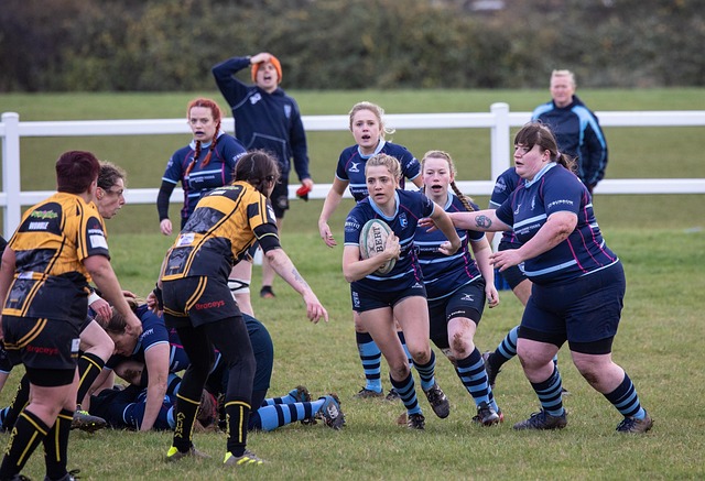 但我们仍能 但我们仍能